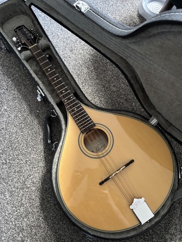 Ashbury octave mandola - ,
