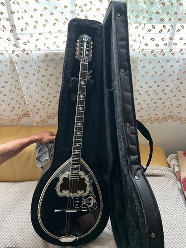 Greek bouzouki - greek, 8