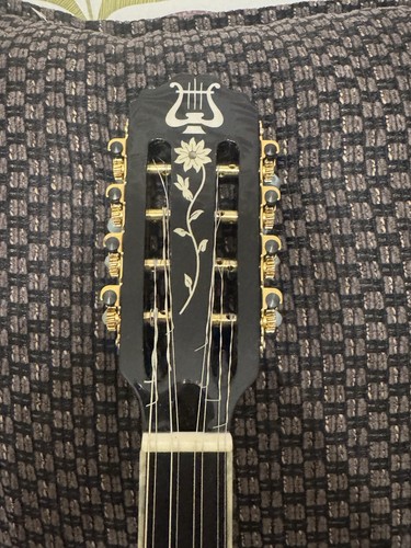 String bouzouki acoustic - 8,